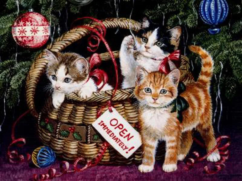 Best Christmas Gifts for Cat Lovers