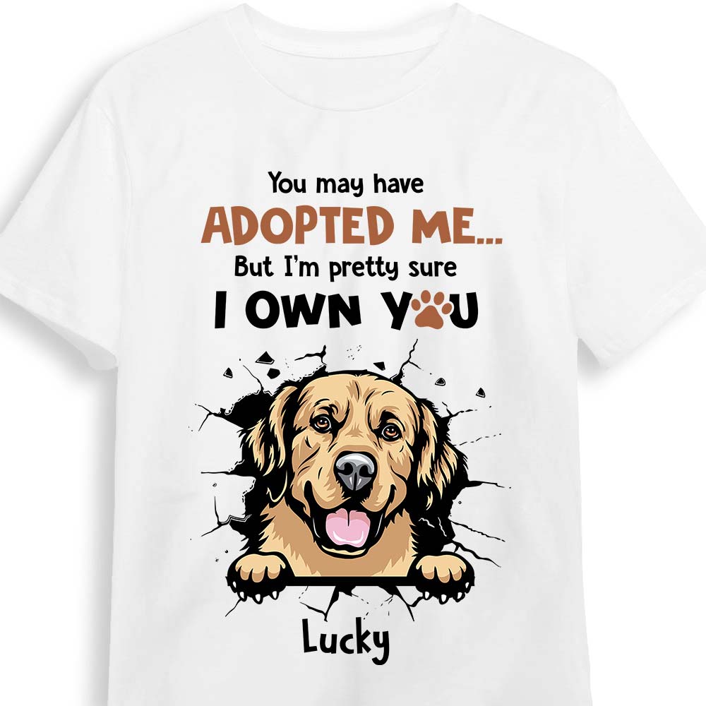 Personalized Gift For Dog Mom I'm Pretty Sure I Own You Shirt Hoodie Sweatshirt 32859 Primary Mockup
