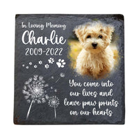 Personalized Pet Memorial Gift In Loving Memory Upload Photo Square Memorial Stone 27205 thumb 1