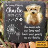 Personalized Pet Memorial Gift In Loving Memory Upload Photo Square Memorial Stone 27205 1