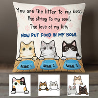 Personalized You Are Cat  Pillow DB71 30O36 (Insert Included) thumb 1