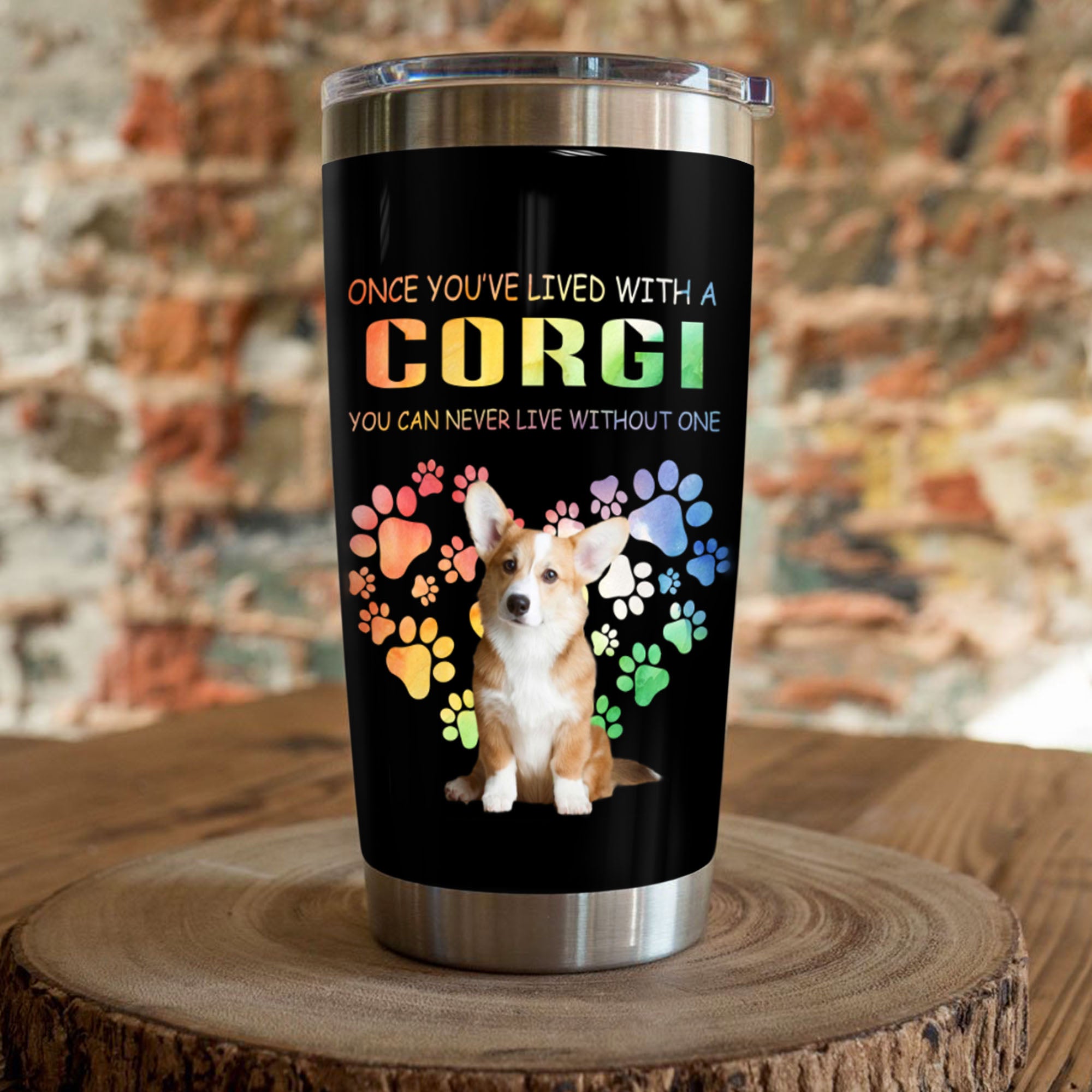 Corgi Dog & Rainbow Paw Steel Tumbler MY167 67O58