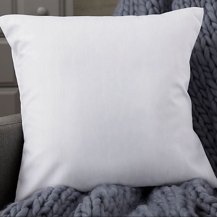 Pillow Insert 1