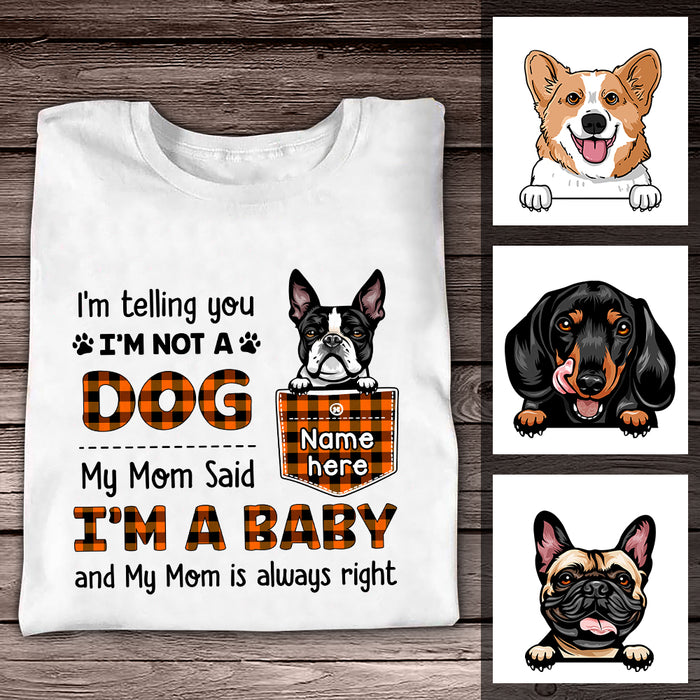Personalized Fall Dog Mom T Shirt AG101 24O36 1