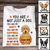 Personalized Fall Halloween Dog My Friend T Shirt AG135 26O47 1