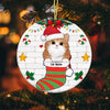 Personalized Cat Christmas Circle Ornament AG265 24O53 1