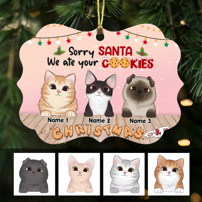 Personalized Sorry Santa Christmas Cat Benelux Ornament SB41 23O47 1