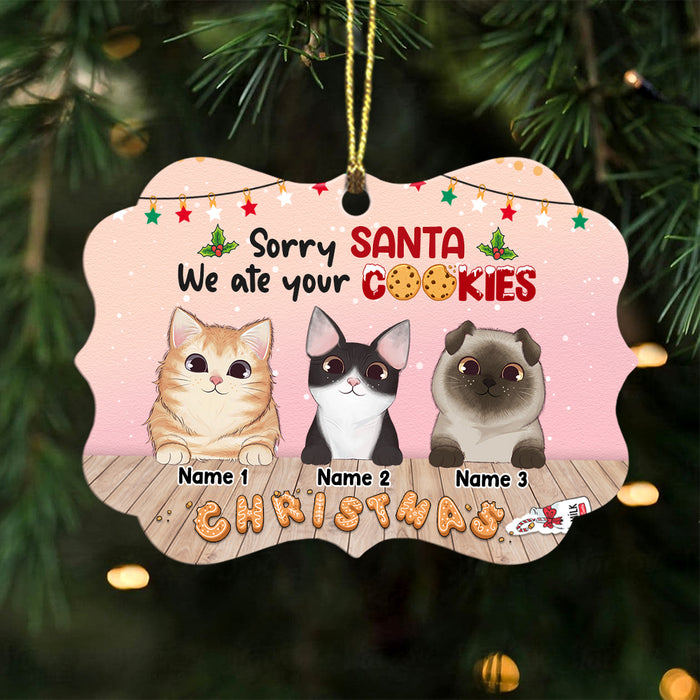 Personalized Sorry Santa Christmas Cat Benelux Ornament SB41 23O47 1