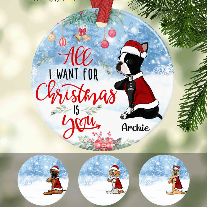 Personalized Dog All I Want For Christmas  Ornament OB71 67O36 1