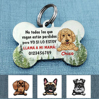 Personalized Dog Lost Wander Spanish Perro Bone Pet Tag AP151 81O58 thumb 1