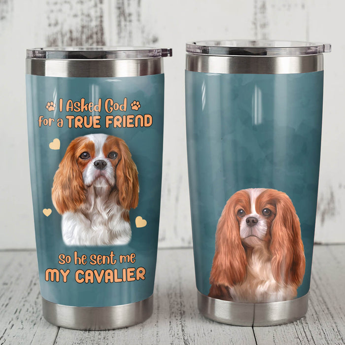 Cavalier King Charles Spaniel Dog Steel Tumbler MR0704 69O50 1