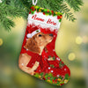 Personalized Dachshund Dog Christmas Stocking OB142 87O53 1
