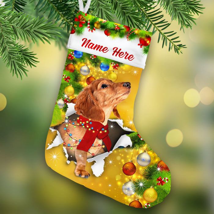 Personalized Dachshund Dog Christmas Stocking OB212 87O53 1