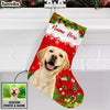Personalized Dog Photo Christmas Stocking OB261 87O53 1