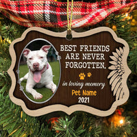 Personalized Dog Cat Photo Memo Benelux Ornament OB283 95O34 thumb 1