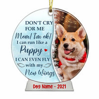 Personalized Memo Dog Cat Photo Snow Globe Ornament NB52 95O34 thumb 1