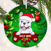 Personalized Dog Christmas Circle Ornament NB52 87O53 thumb 1