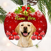 Personalized Dog Cat Photo Christmas Circle Ornament NB132 87O53 1