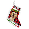Personalized Dog Photo Christmas Santa Define Naughty Stocking NB131 85O36 1