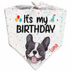 Personalized It Is My Birthday Dog Bandana NB197 85O34 1