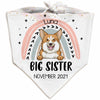 Personalized Rainbow Nursery Big Sister Brother Dog Baby Reveal Pregnancy Announcement Bandana NB202 85O34 1