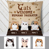 Personalized Cat Welcome Human Tolerated Pillow NB262 26O53 1