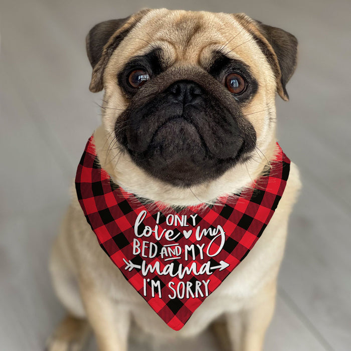 Dog Bandana DB217 26O53 1