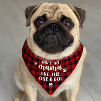 No Mama Like The One I Got Dog Bandana DB221 85O23 thumb 1