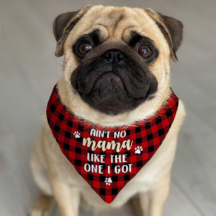 No Mama Like The One I Got Dog Bandana DB221 85O23 1