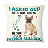 Personalized Dog Pillow DB223 87O47 1