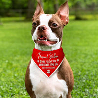 Personal Stalker Bandana DB223 30O58 thumb 1