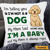 Personalized Dog Baby Pillow DB226 30O47 1