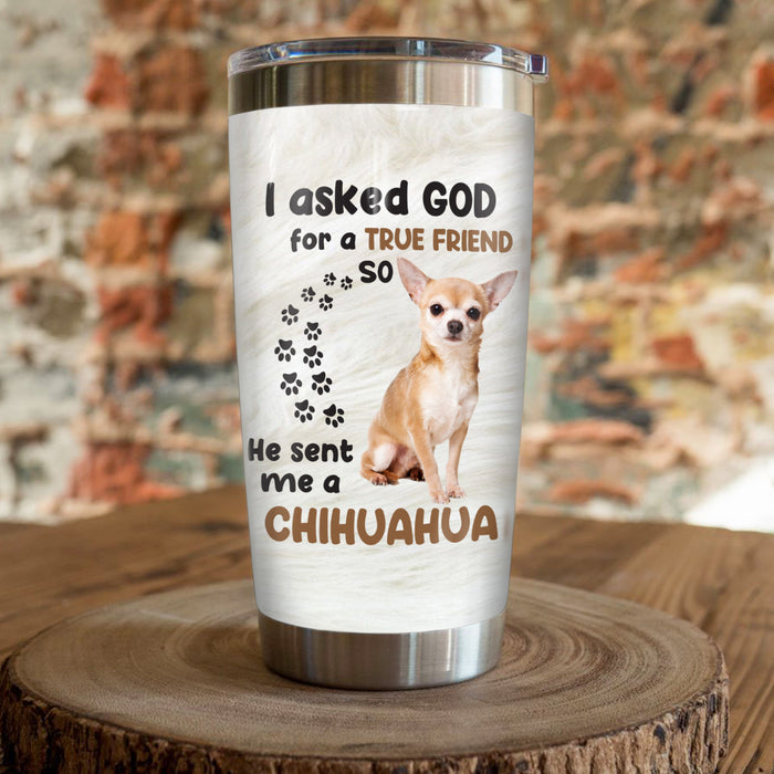 Chihuahua Dog Steel Tumbler FB0401 67O53 1
