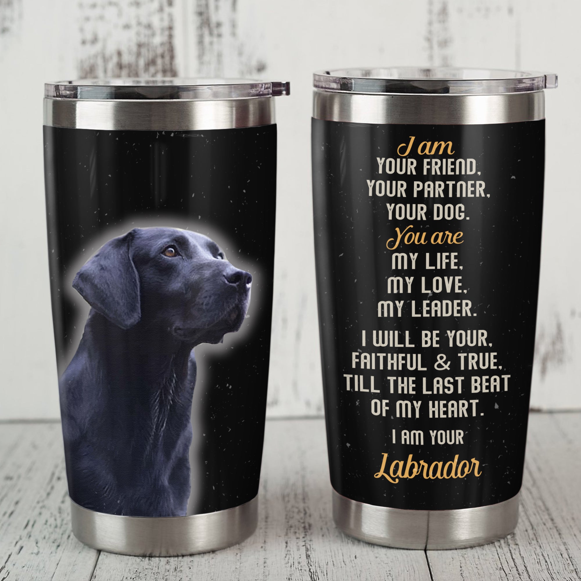 Labrador Retriver Dog Steel Tumbler MY1710 73O57