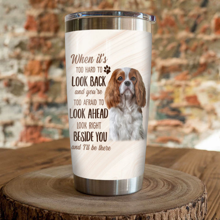 Cavalier King Charles Spaniel Dog Steel Tumbler FB1003 69O35 1