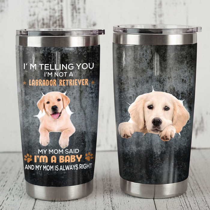 Labrador Retriever Dog Steel Tumbler FB0708 78O57 1