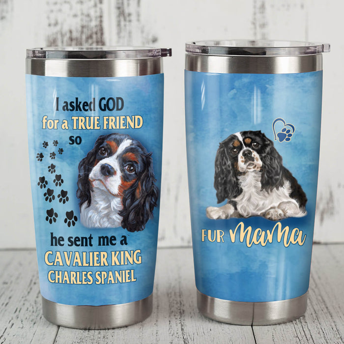 Cavalier King Charles Spaniel Dog Steel Tumbler MR0703 70O50 1