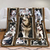 Siberian Husky Dog Fleece Blanket NOV2902 81O60 1