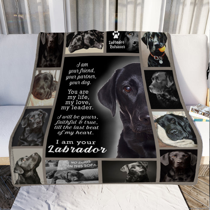 Labrador Retriever Dog Fleece Blanket JR1401 90O41 1
