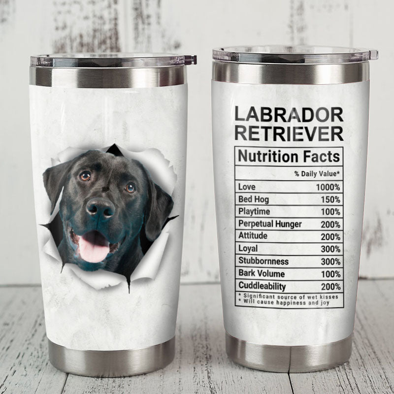 Labrador Retriever Dog Steel Tumbler FB0707 78O35
