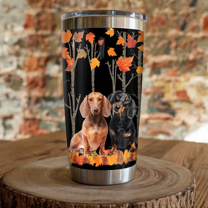 Dachshund Dog Steel Tumbler AP2504 67O58 1