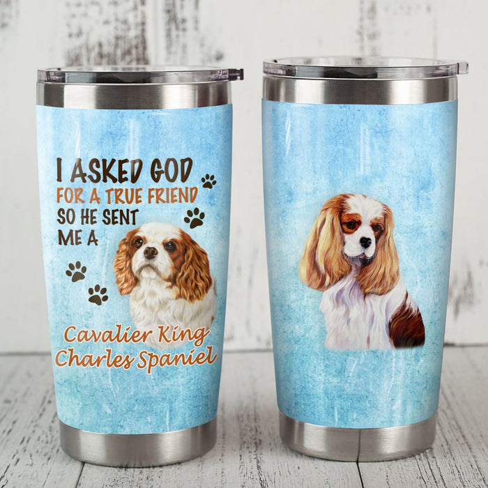 Cavalier King Charles Spaniel Dog Steel Tumbler MR0708 71O49 1