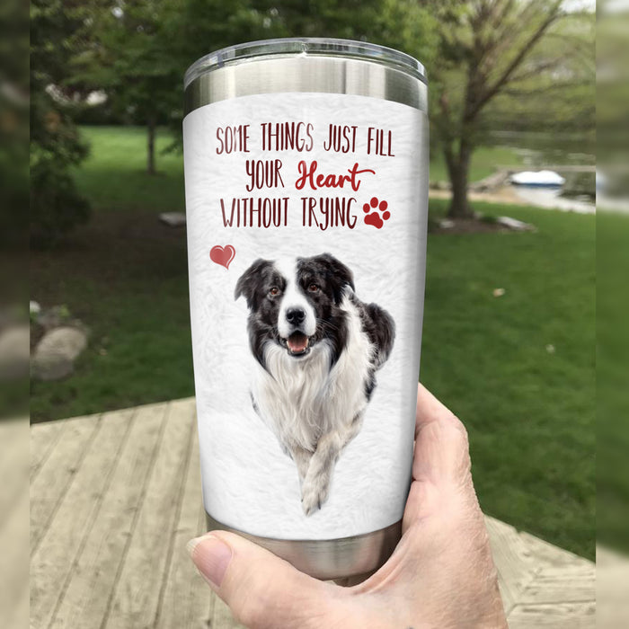 Border Collie Dog Steel Tumbler FB0506 67O31 1