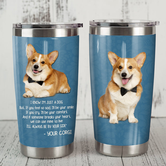 Corgi Dog Steel Tumbler MR1307 71O56 1