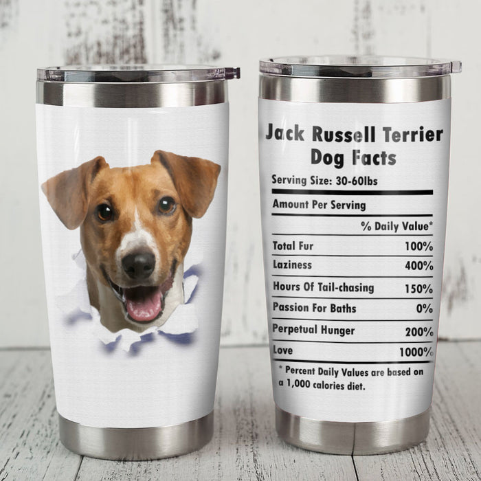 Jack Russell Terrier Dog Steel Tumbler FB0801 69O51 1