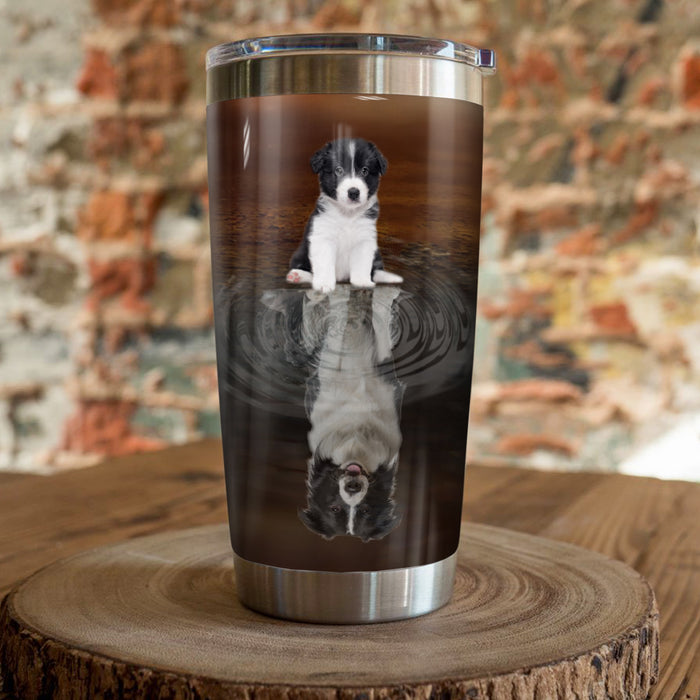 Border Collie Dog Steel Tumbler MR1302 69O43 1