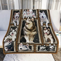 Siberian Husky Dog Fleece Blanket NOV2902 81O60 thumb 1