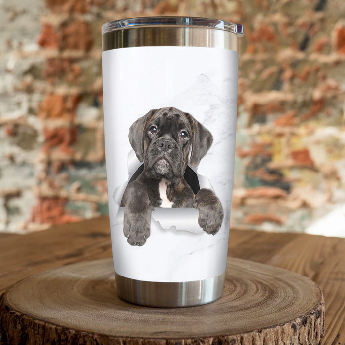 Boxer Dog Steel Tumbler FB0808 78O57 1