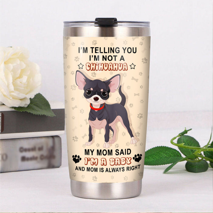 Chihuahua Dog Steel Tumbler FB0103 81O60 1