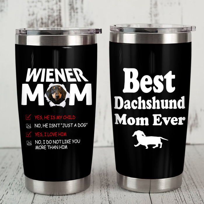 Dachshund Dog Steel Tumbler MY177 73O58 1